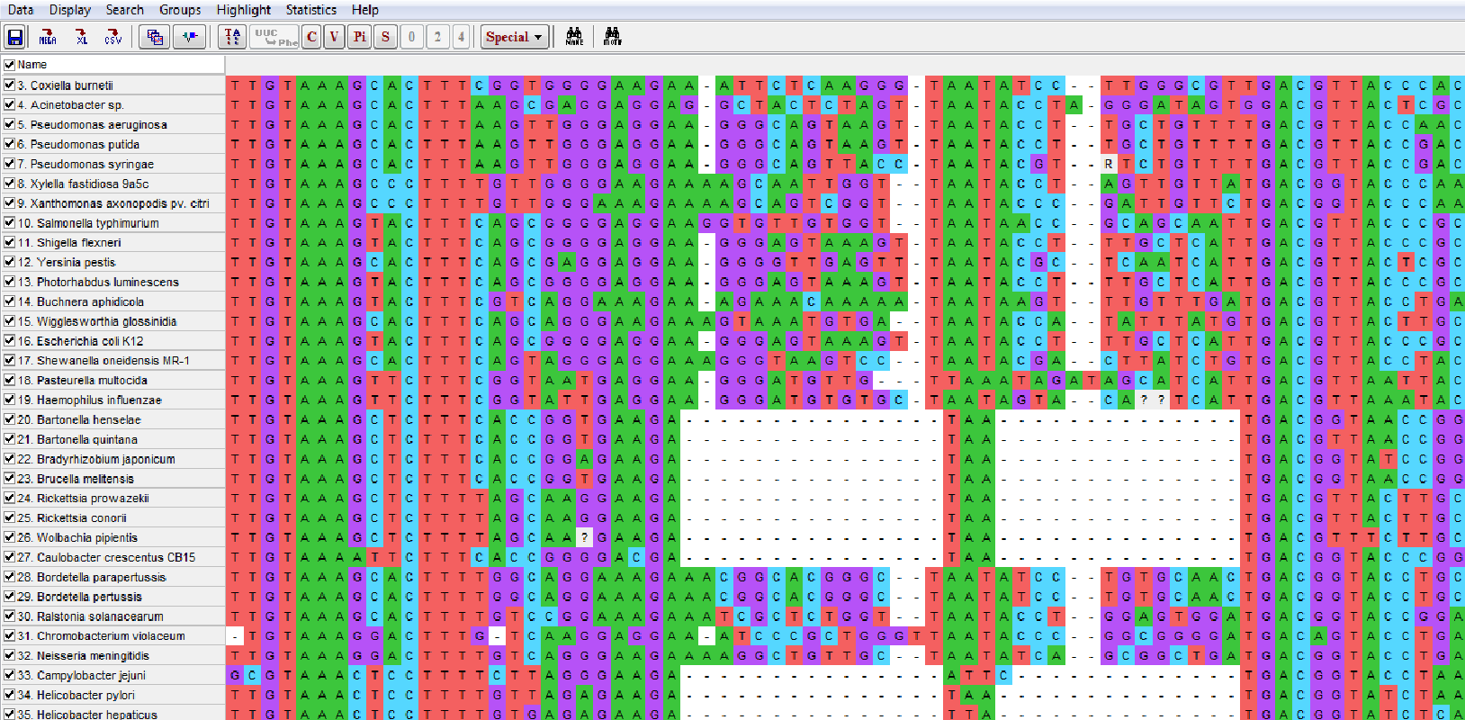 Proteobacterial 16S rDNA alignment in MEGA.