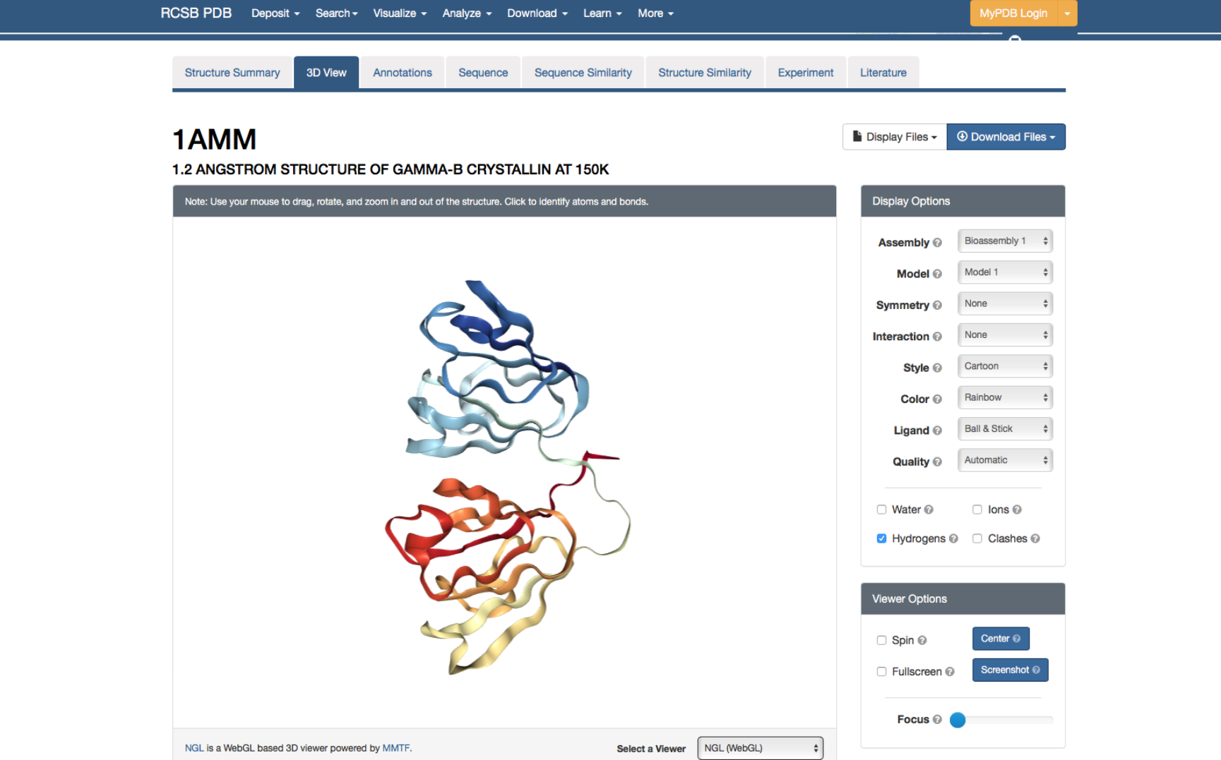 3D view of domains in 1AMM.