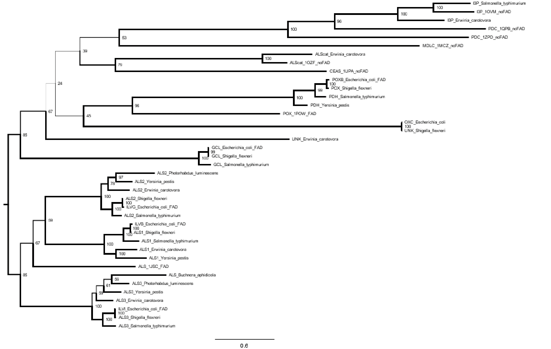 Original alignment tree.
