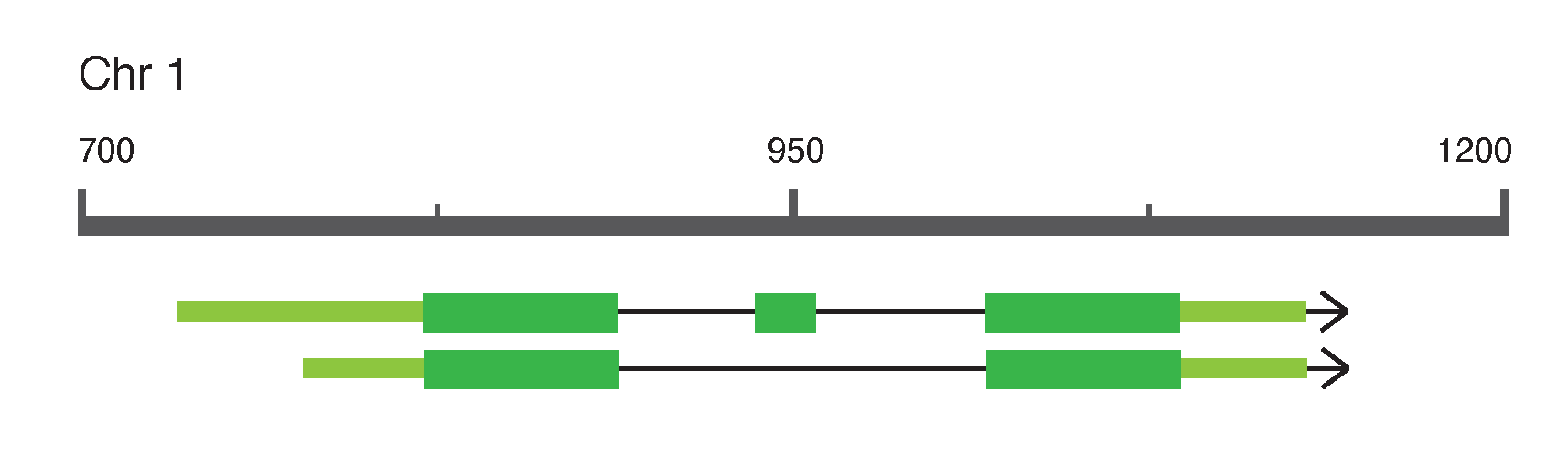 Gene model