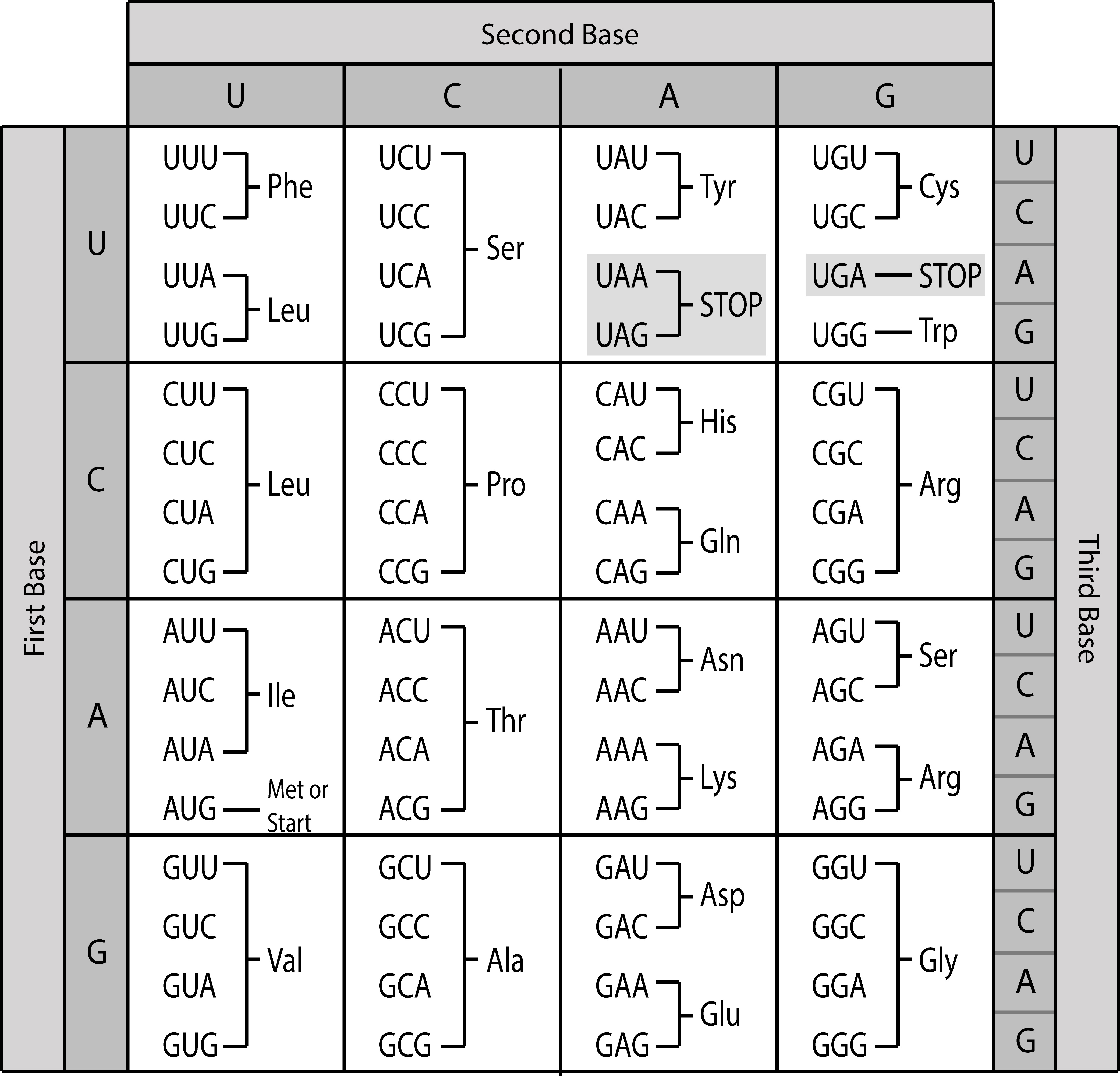 The genetic code