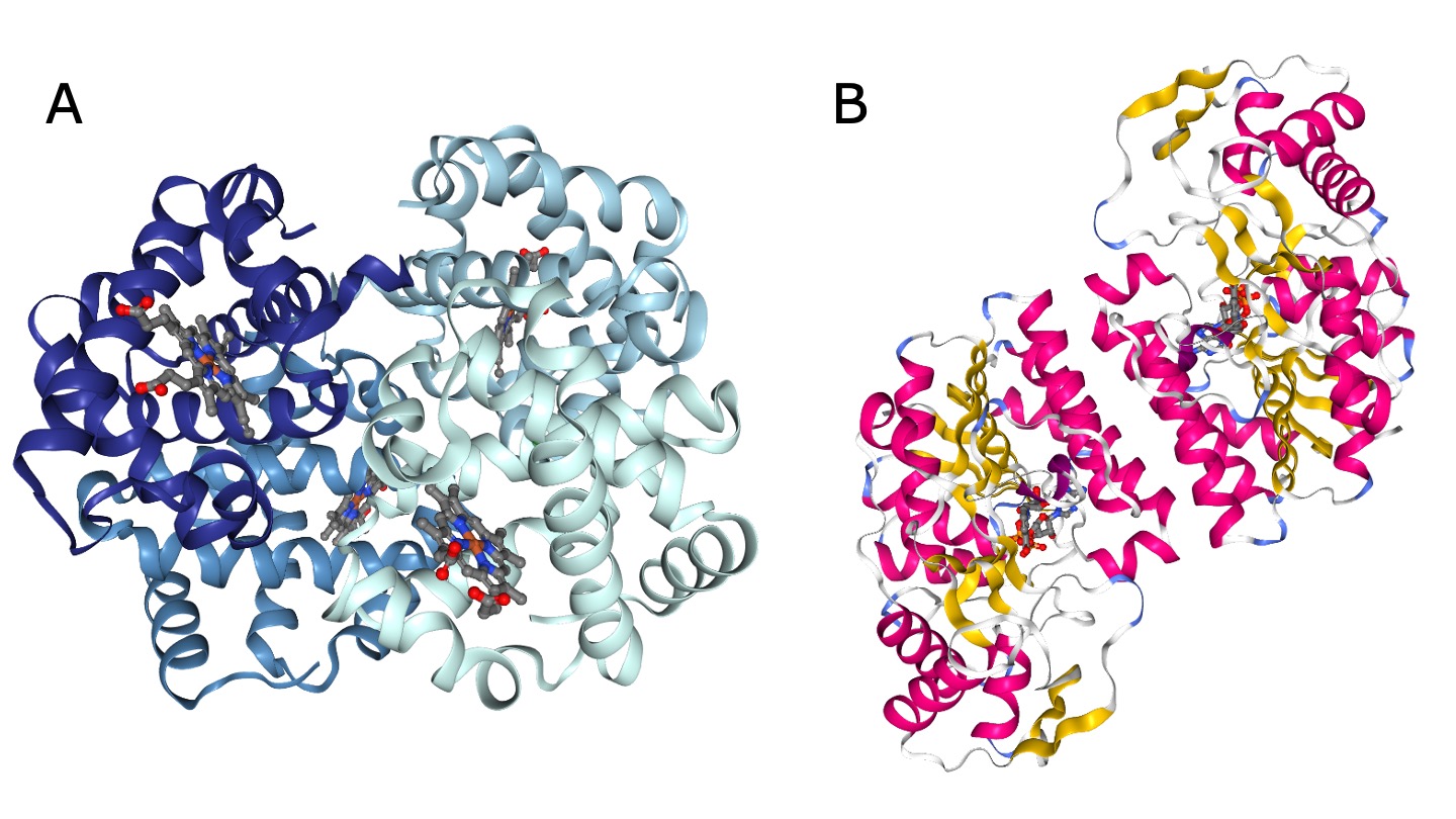 Examples of oligomers
