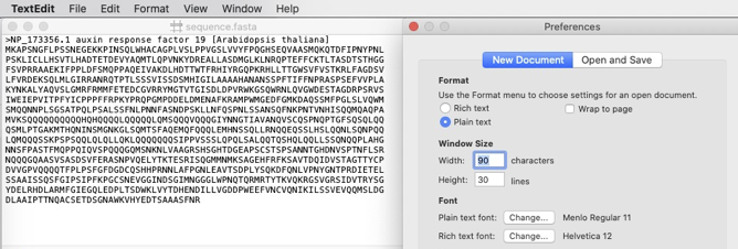 TextEdit editor