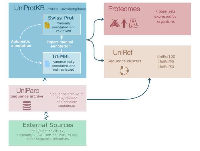 Overview of UniProt